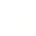 Sewing Scissors